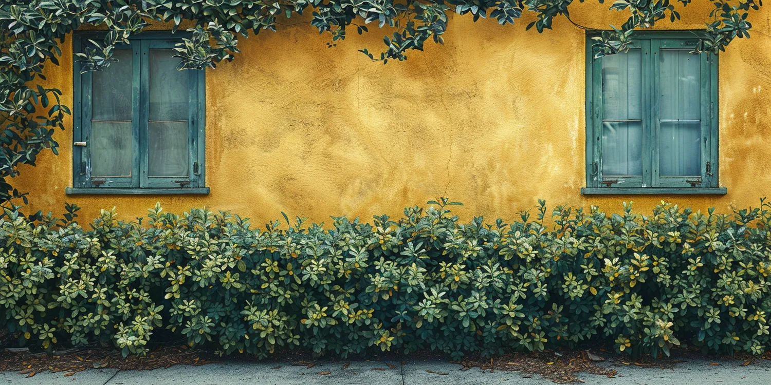 Ogród deszczowy co to?